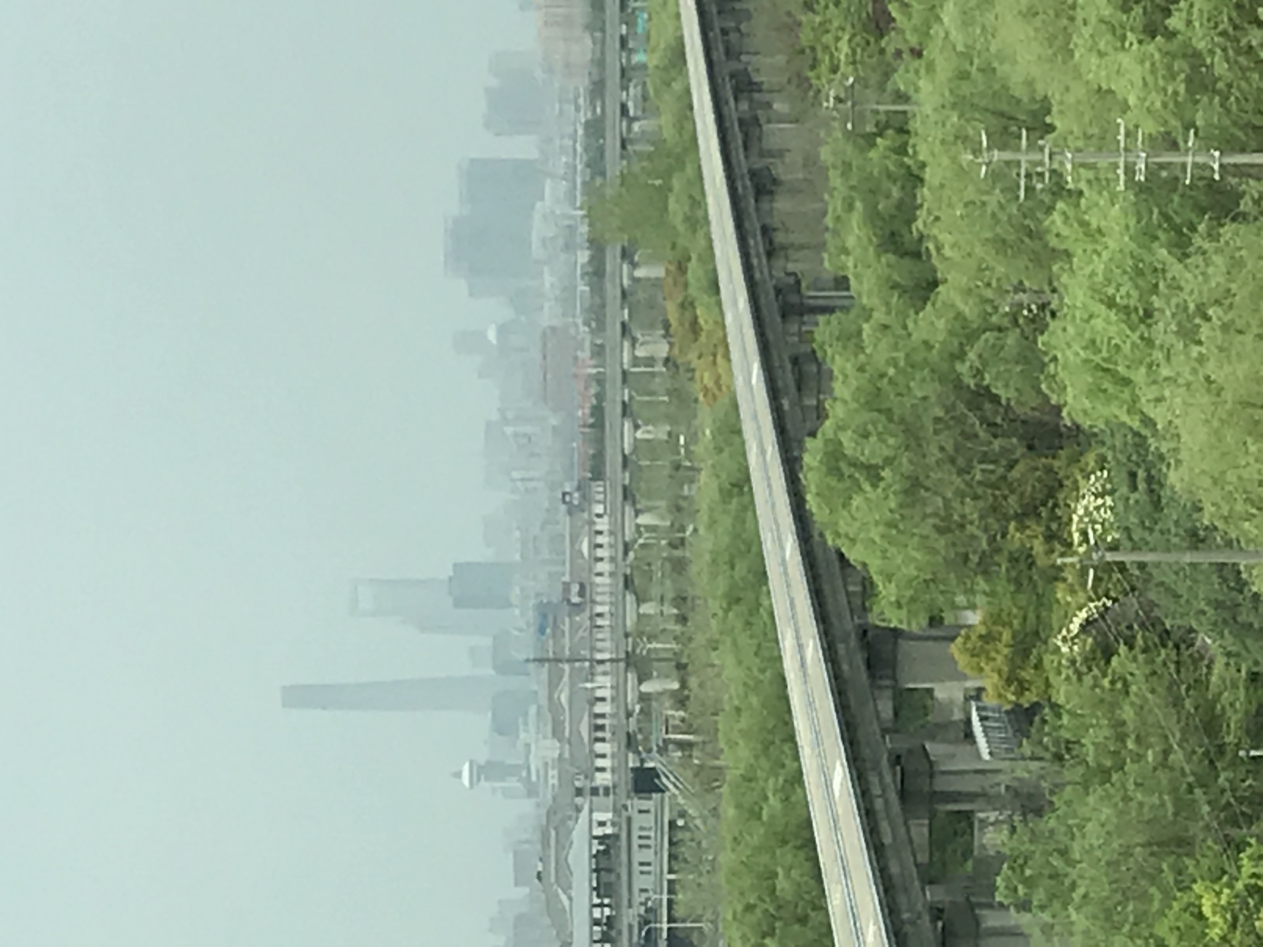 ./2018/03 - Viking China/22 - Shanghai Day 1/IMG_9701.JPG